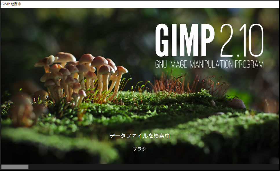 GIMPinstall